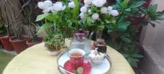 IMG-20230818-WA0018