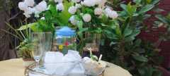 IMG-20230818-WA0022