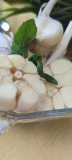 IMG-20230818-WA0042-2