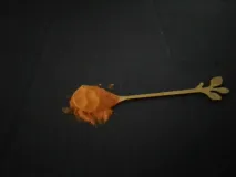 TURMERIC-IN-SPOON