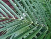 1_IMG-20230714-WA0016