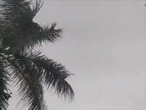 IMG-20230714-WA0015