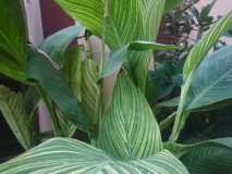 IMG-20230714-WA0018
