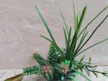 IMG-20230715-WA0004