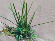 IMG-20230715-WA0006