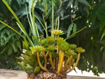 IMG-20230715-WA0007