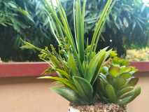 IMG-20230715-WA0008